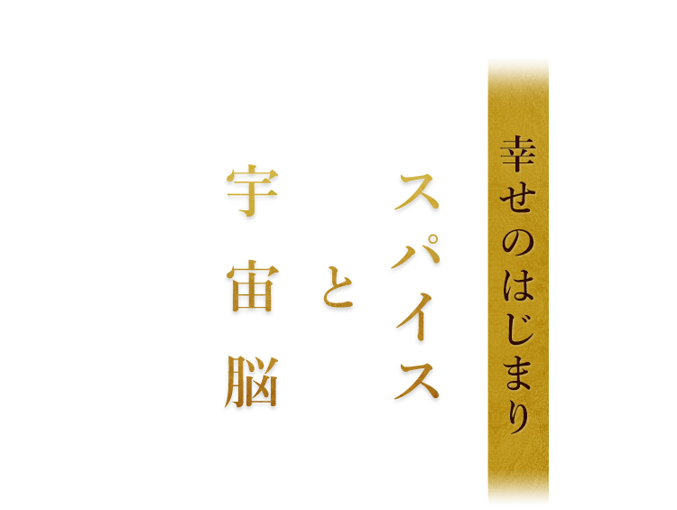 幸せのはじまりスパイスと宇宙脳